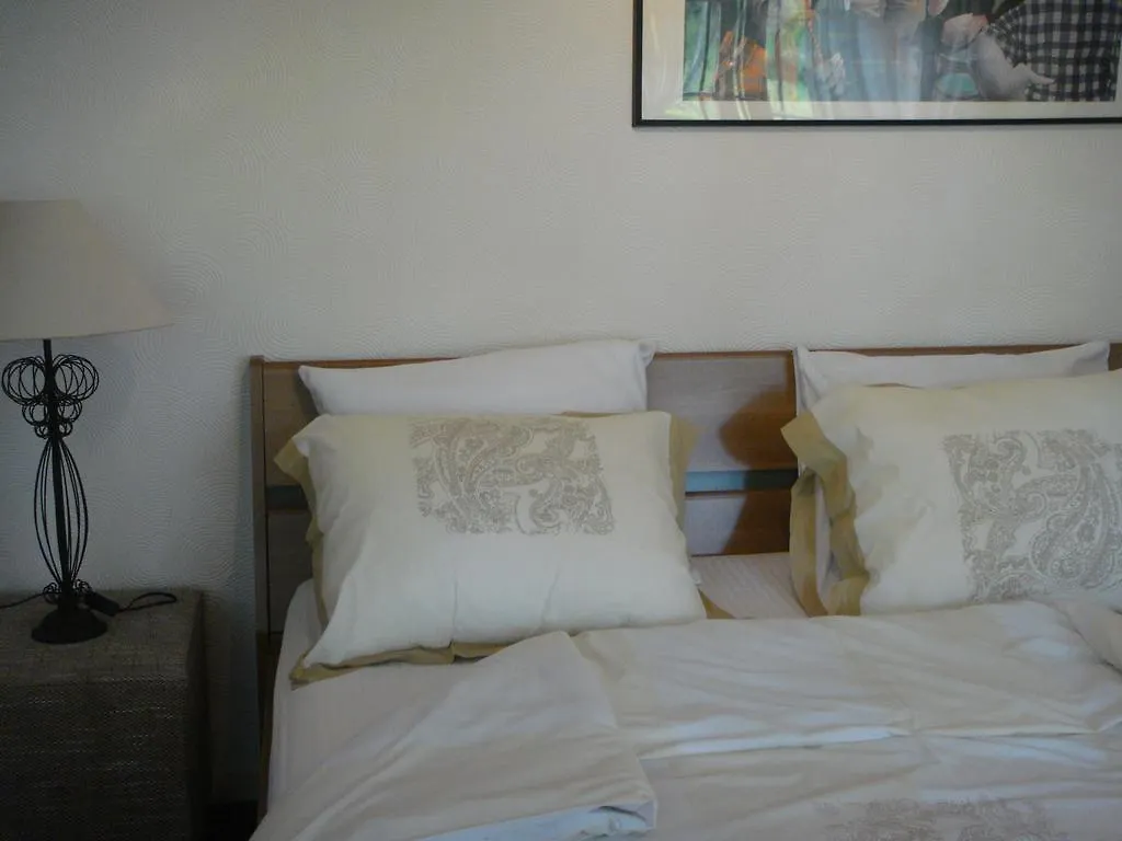 Ricos Vakantiewoning Villa Valkenburg aan de Geul Holiday home